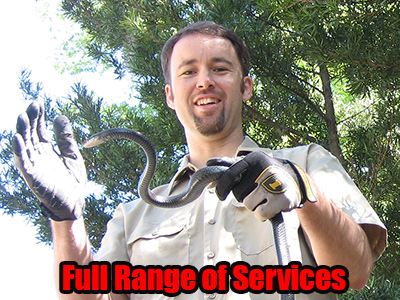 Rokeby Wildlife Control